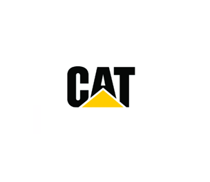 IMAGE_CAT_Logo